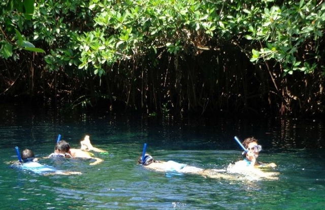  Schnorcheln im Dschungel 